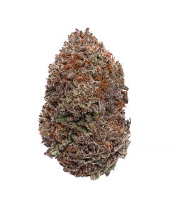 Lucky Farms - Black Domina