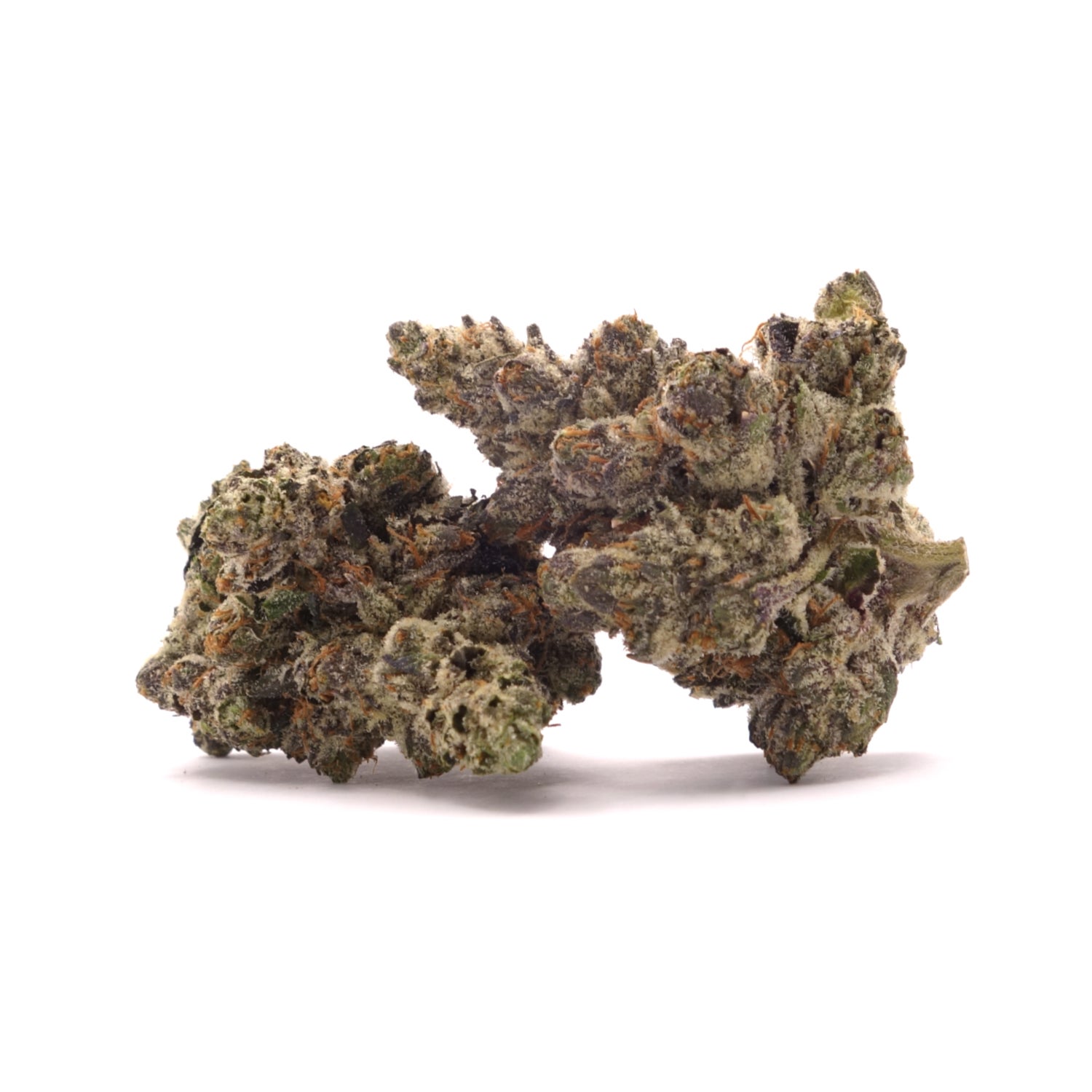 Albatross - Black Gas - Image 2