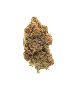 Jungle Ridge - Girl Scout Cookies
