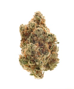 Hoot Cannabis - Gypsy Road