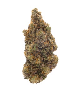 Jungle Ridge - Pink Guava