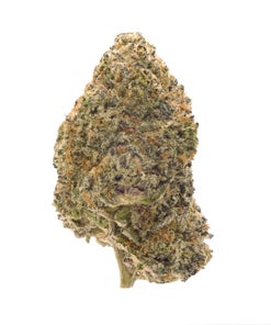 Lucky Farms - Gelatti