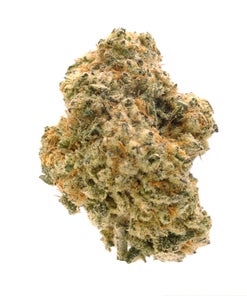 Lucky Farms - Medusa