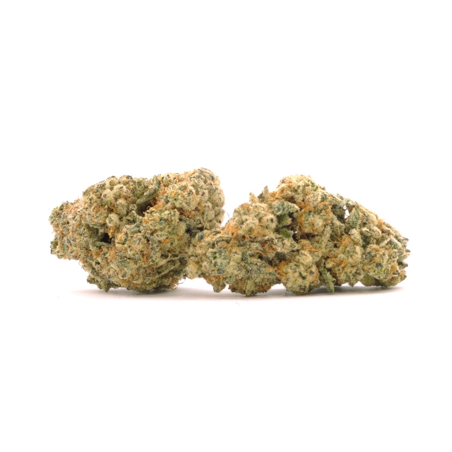 Lucky Farms - Medusa - Image 2