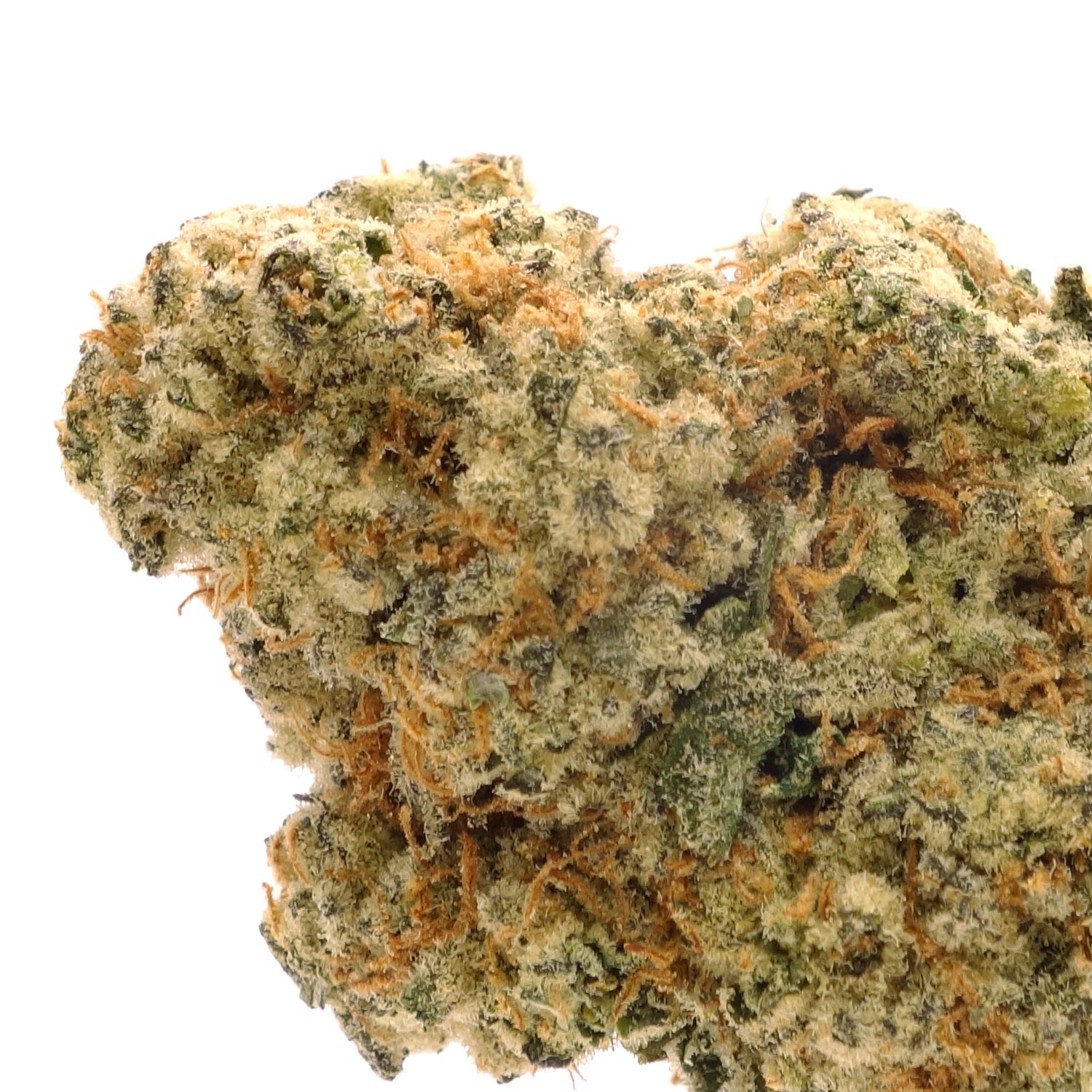 Lucky Farms - Medusa - Image 4