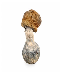 Amazeballs - Golden Penis Envy
