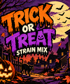 Superdank – Trick or Treat Strain Mix