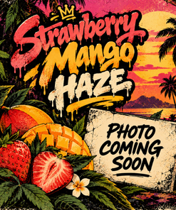 MuM's Cannabis - Strawberry Mango Haze