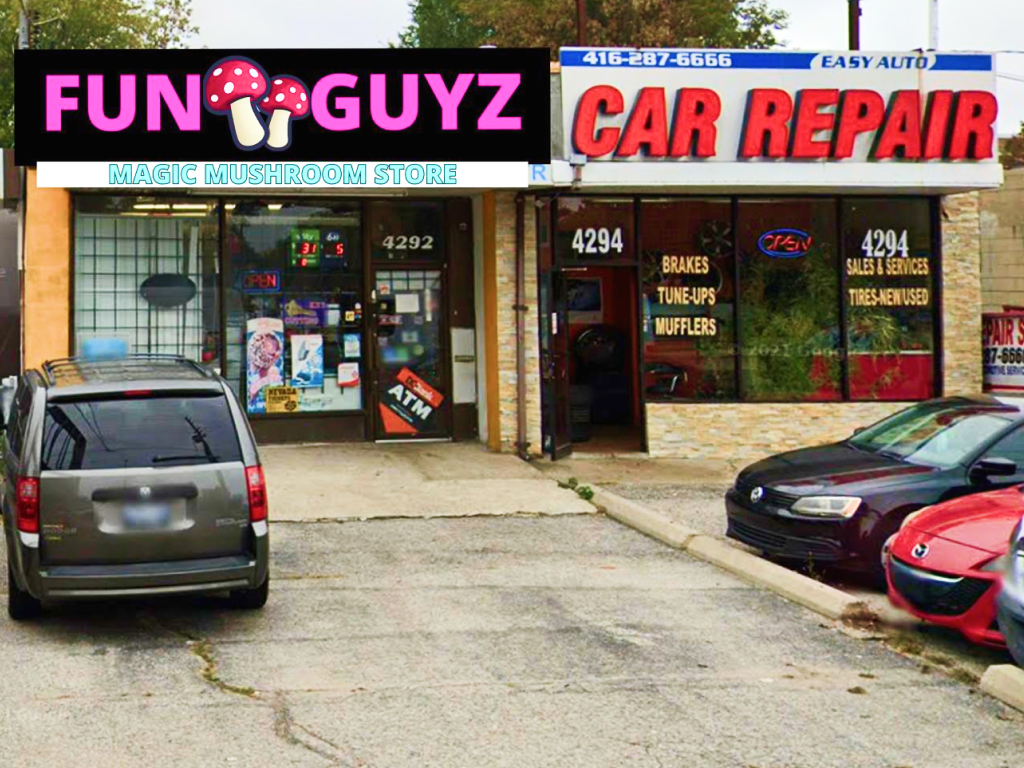 4292-kingston-road-1 Funguyz magic mushrooms dispensary in Scarborough, view from the outside