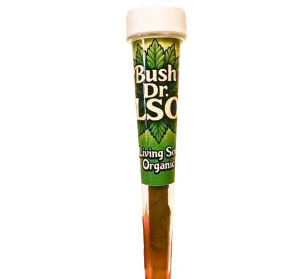 Bush LSO infused blunt wraps