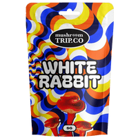 buy shrooms white rabbit