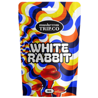 buy shrooms white rabbit