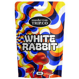 buy shrooms white rabbit