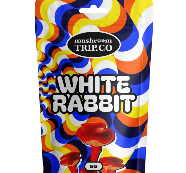 buy shrooms white rabbit