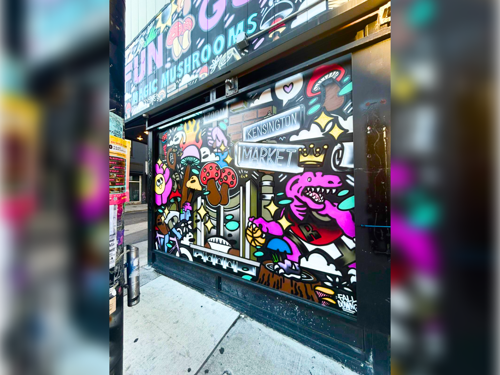 kensington-market-181-baldwin-1