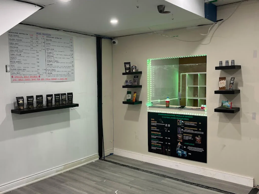 222-queen-street-east-toronto-funguyz-magic-mushroom-dispensary-2 FunGuyz - Magic Mushroom Dispensary at 222 Queen St East, Toronto, inside the dispensary