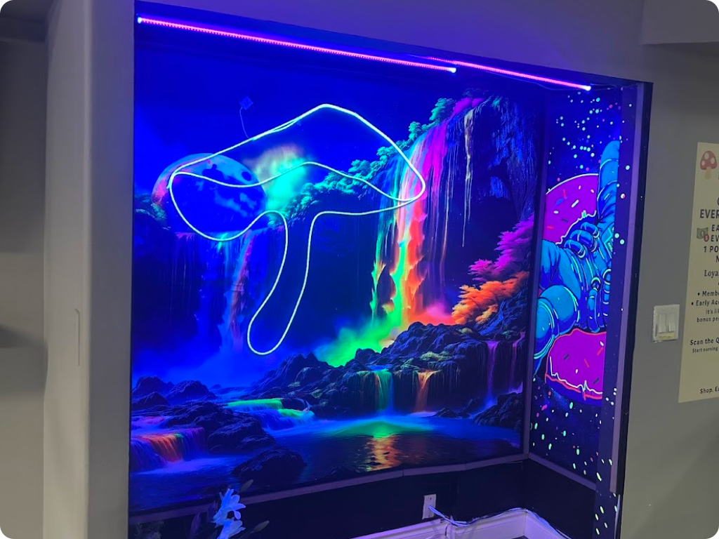 FunGuyz - Magic Mushroom Dispensary at 2350 Yonge St, art inside the dispensary