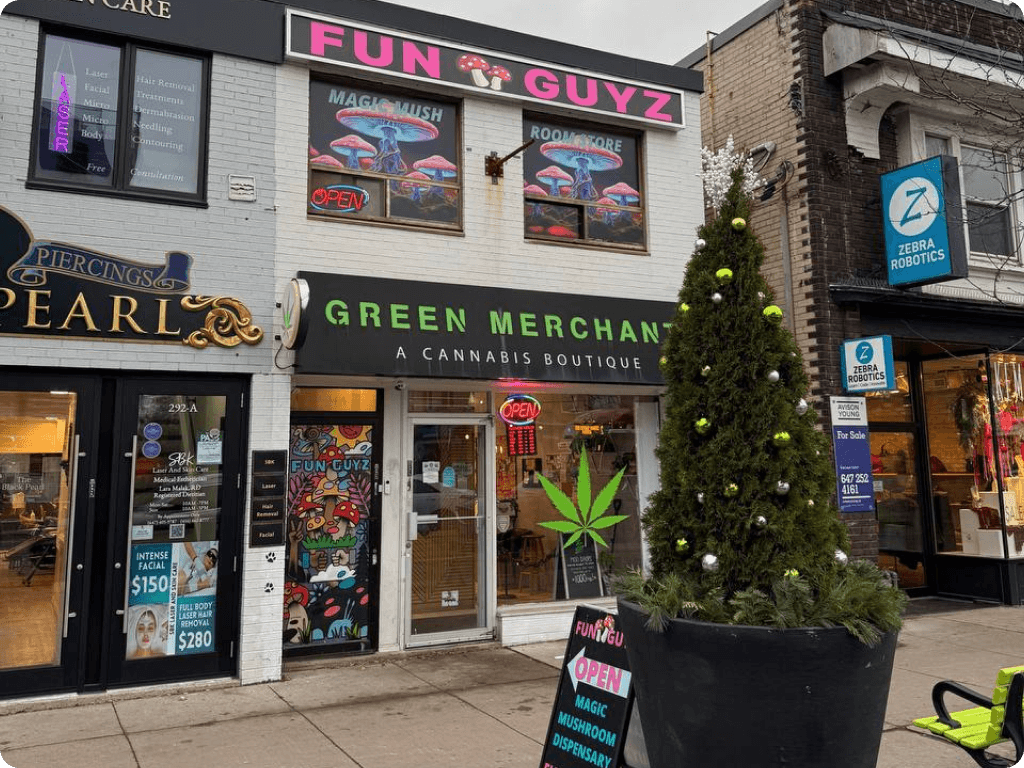 Funguyz - Magic Mushroom Dispensary at 294a Danforth Ave, storefront