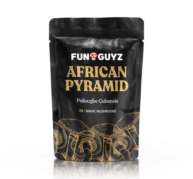 African Pyramid Magic Mushrooms