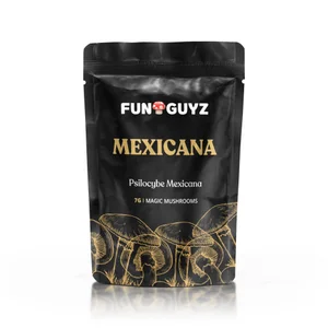 Mexicana Magic Mushrooms Funguyz