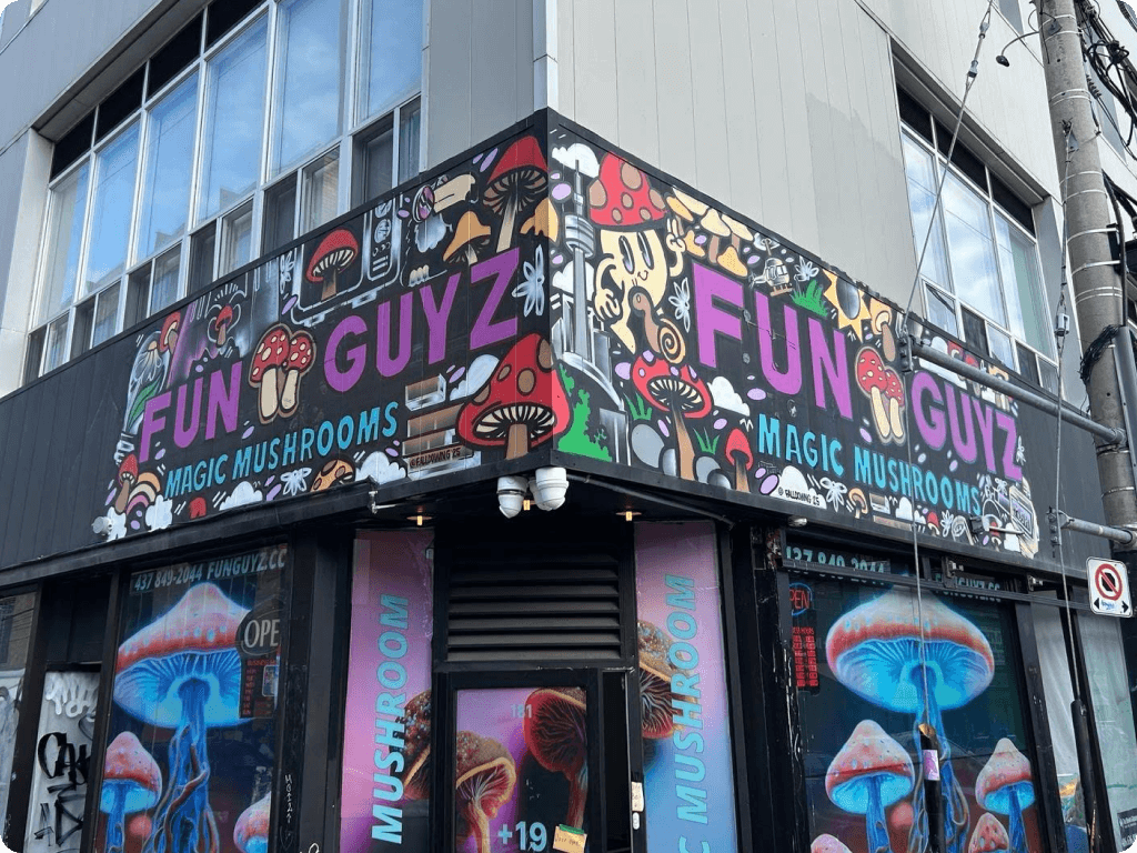 Funguyz 181 Baldwin Street store, view from the outside with branding visible