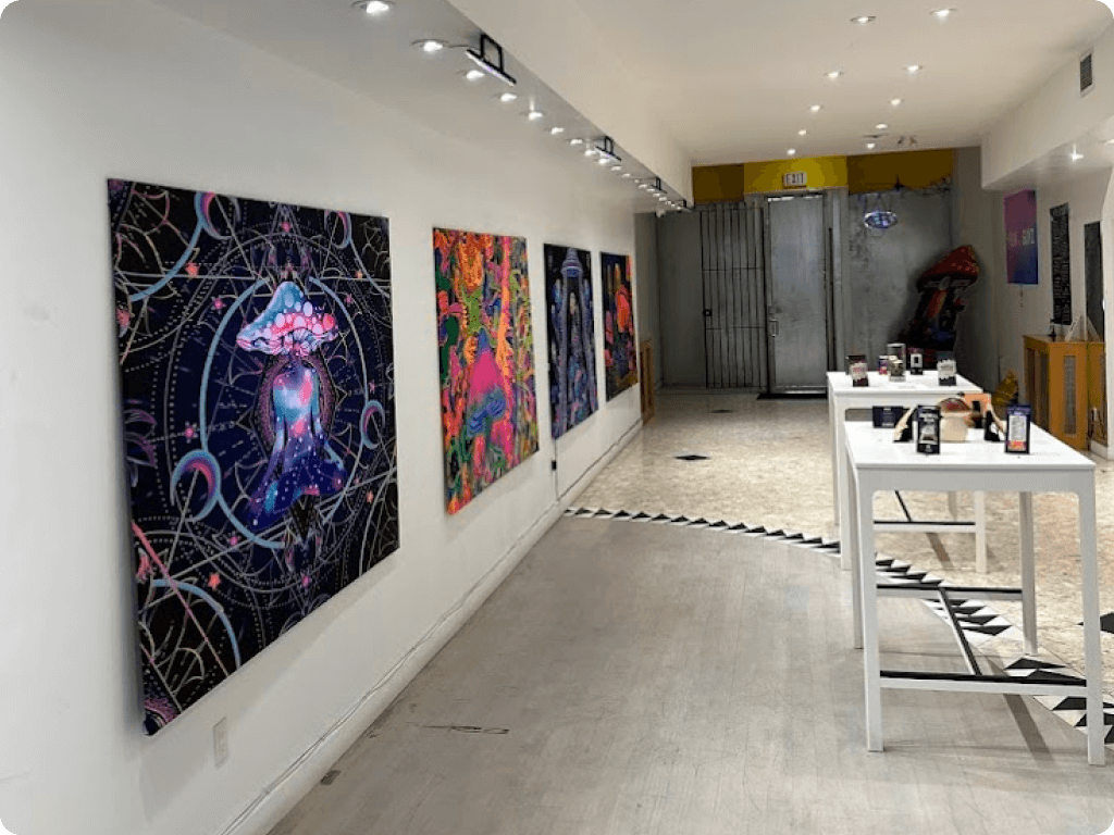 Funguyz 181 Baldwin Street store, view from the inside, with paintings about magic mushrooms on walls and products on store shelves