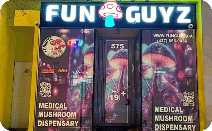 funguyz-danforth-ave-magic-mushrooms
