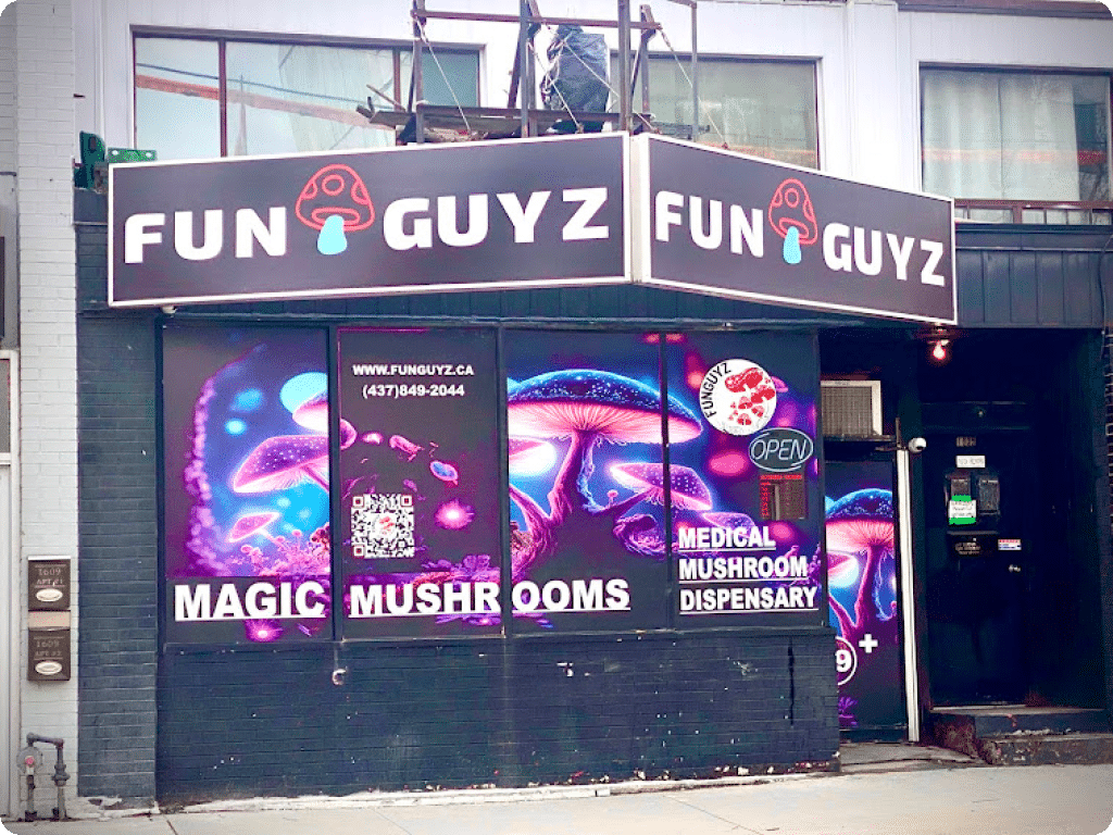 Entrance to Funguyz Magic Mushroom Dispensary on Queen Street East, from the street