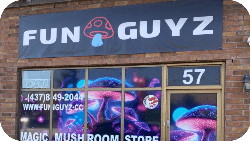 funguyz-magic-mushrooms-brampton-2
