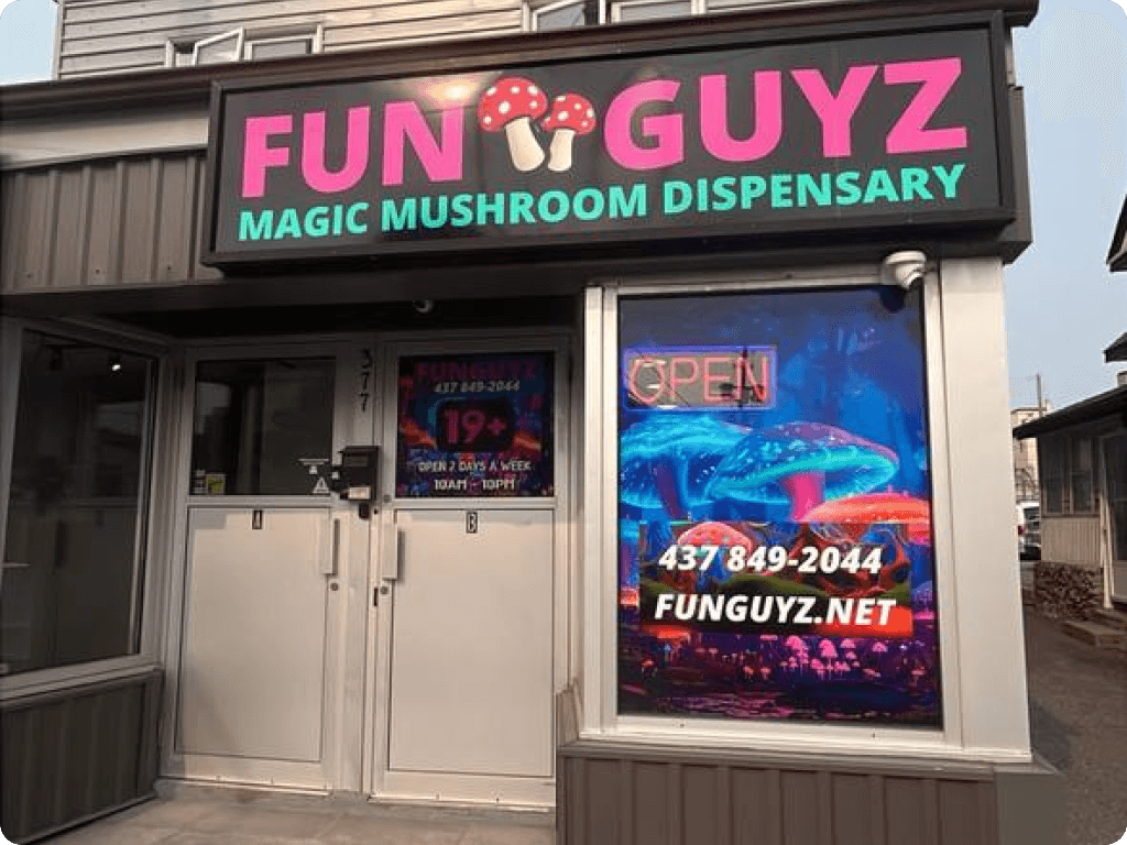 Funguyz magic mushrooms dispensary in Ottawa on Churchill Ave, the main entrance area from the street