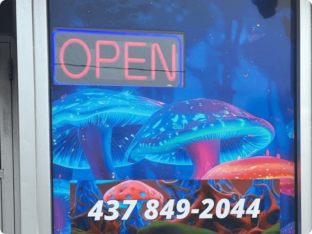 Street signage at Funguyz magic mushrooms dispensary in Ottawa on Churchill Ave