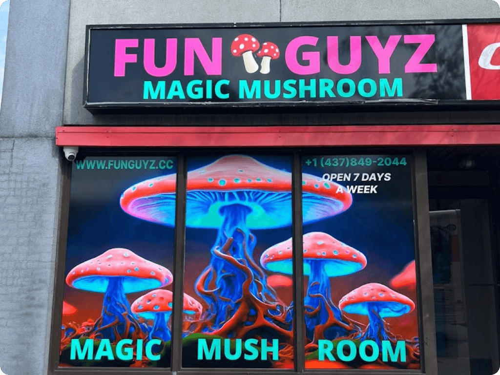 The main entrance to Funguyz magic mushrooms dispensary in Ottawa on Montreal Road