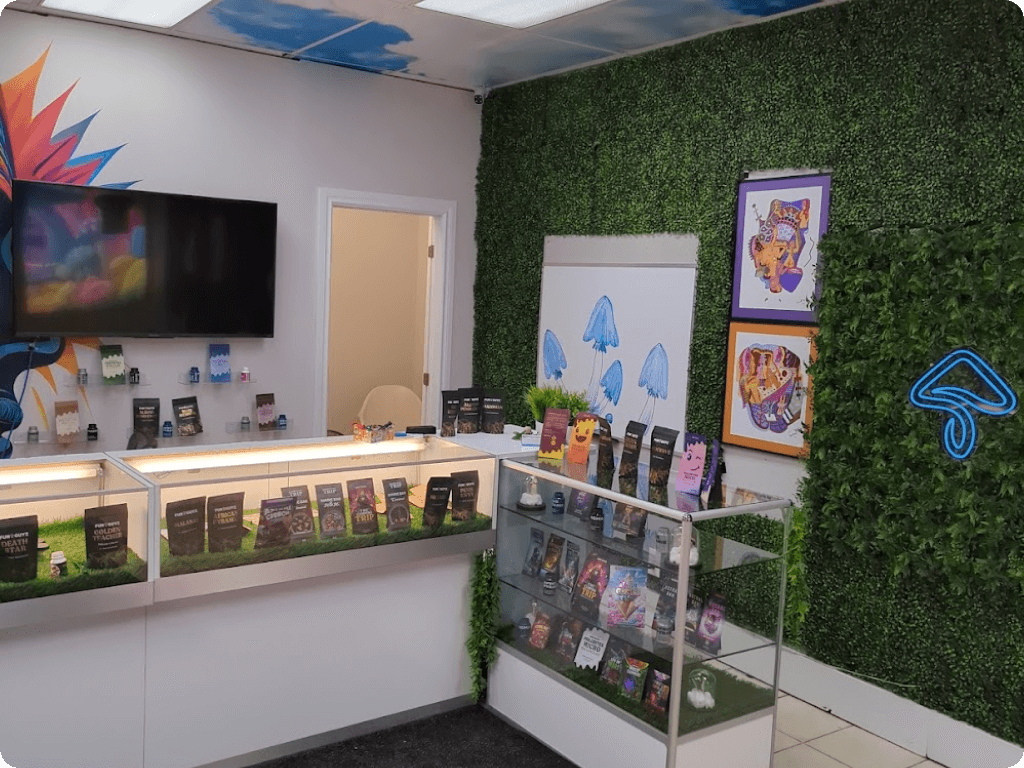 The interior of Funguyz magic mushrooms dispensary in Ottawa on Montreal Road