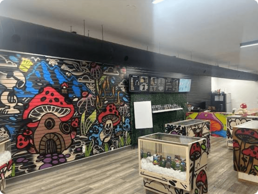 The interior of Funguyz magic mushrooms dispensary in Ottawa on Northside Road