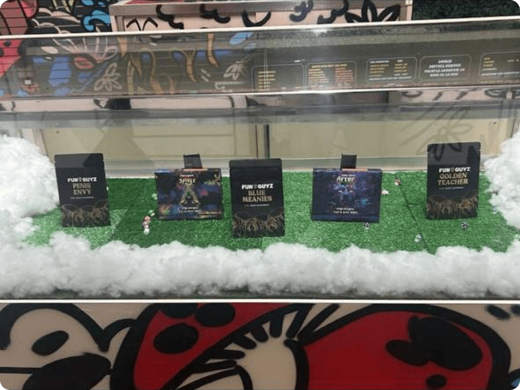 Packs of dried shrooms inside Funguyz magic mushrooms dispensary in Ottawa on Northside Road