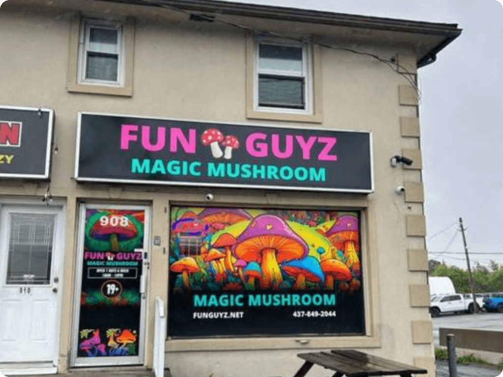 funguyz-magic-mushrooms-dispensary-ottawa-st-laurent-1 Funguyz magic mushrooms dispensary in Ottawa on St Laurent Boulevard, the view from the street