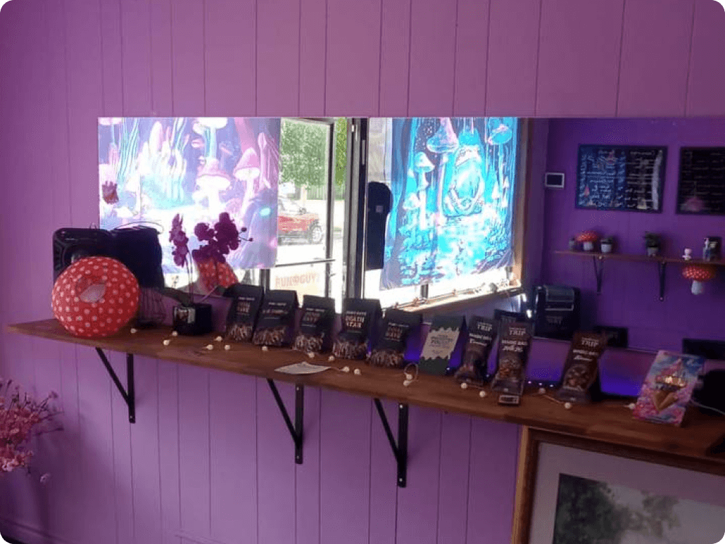 funguyz-magic-mushrooms-dispensary-welland-3 Shelves with shrooms, edibles and microdose products inside Funguyz magic mushroom dispensary in Welland