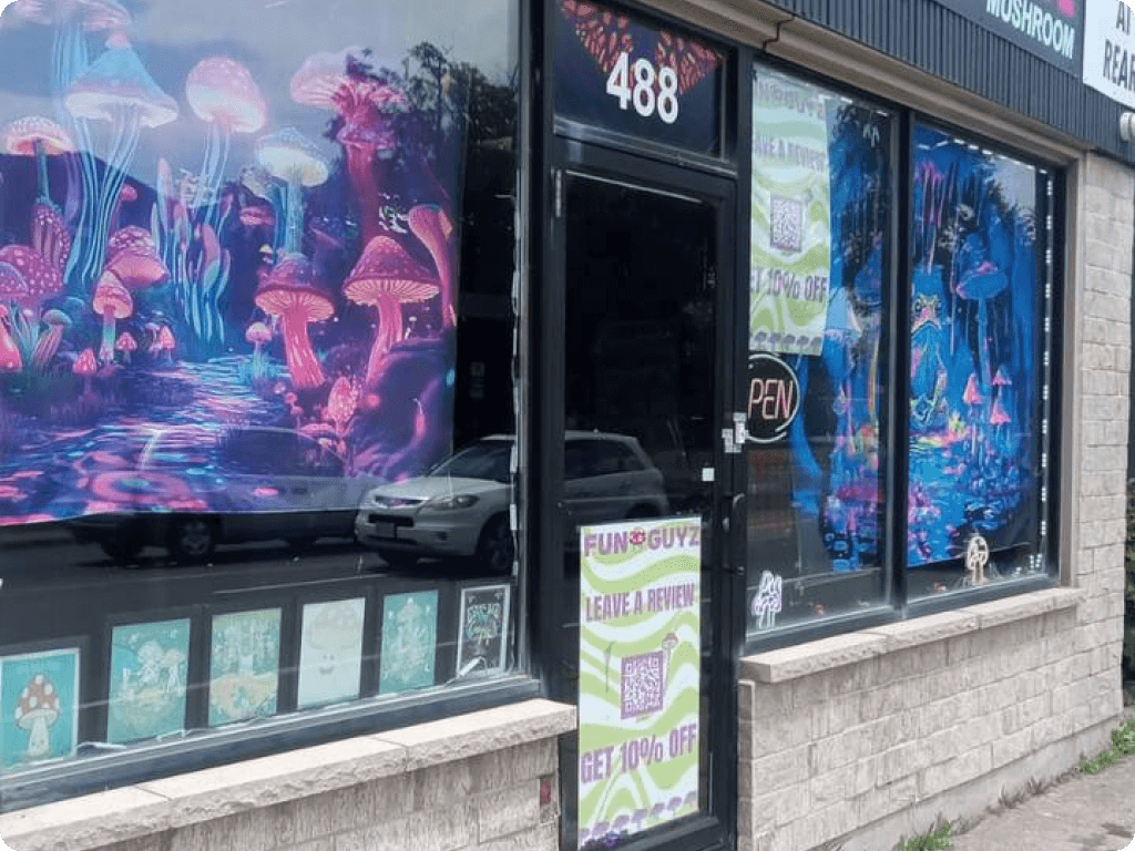 funguyz-magic-mushrooms-dispensary-welland-6 Funguyz magic mushroom dispensary in Welland, the view from in front of the store
