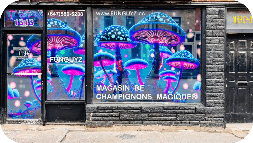 funguyz-magic-mushrooms-montreal-location-2