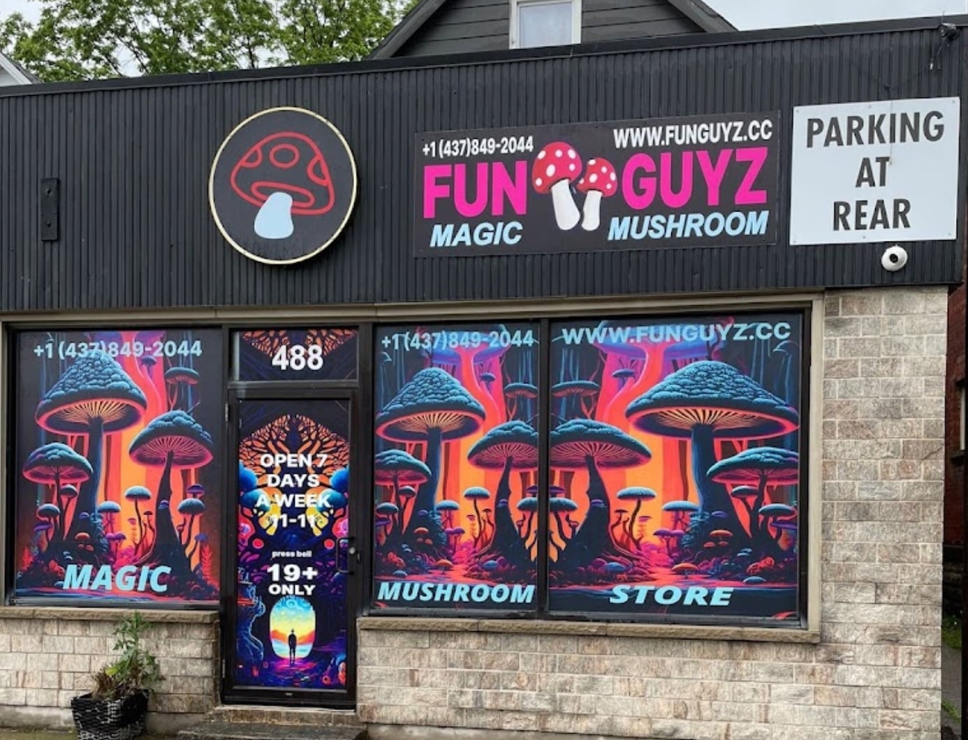 magic-mushrooms-dispensary-toronto