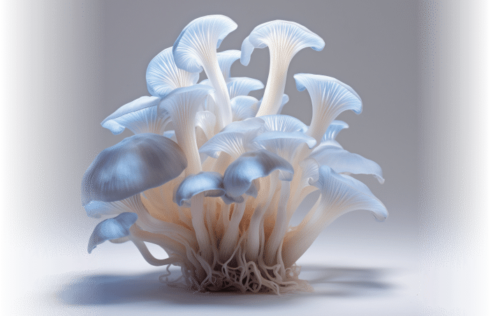 mushroom