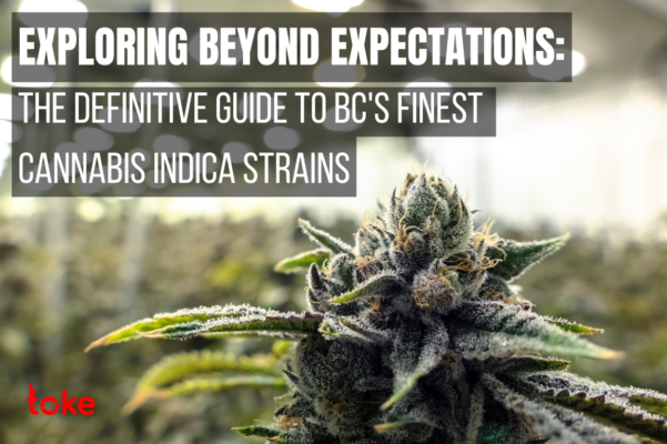 BC's Finest: Best-Rated Cannabis Indica Strain