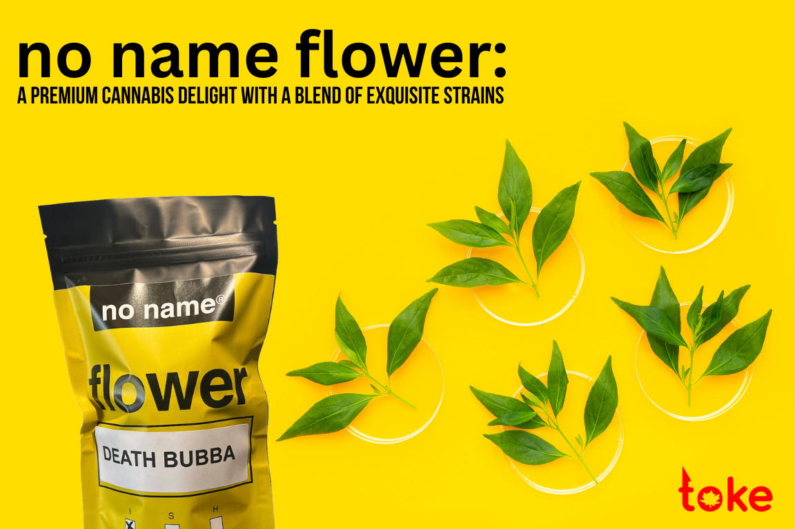 "Premium Cannabis Delight: Exploring the No Name Flower Blend of Strains"