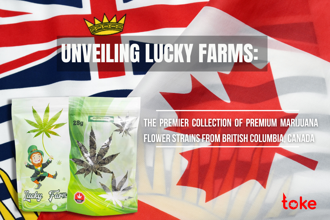 Premium Marijuana Flower Strains, Lucky Farms, British Columbia, Canada