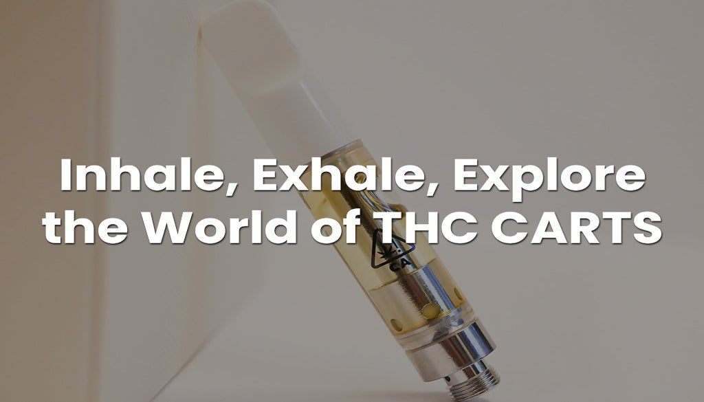 Explore the World of THC Carts