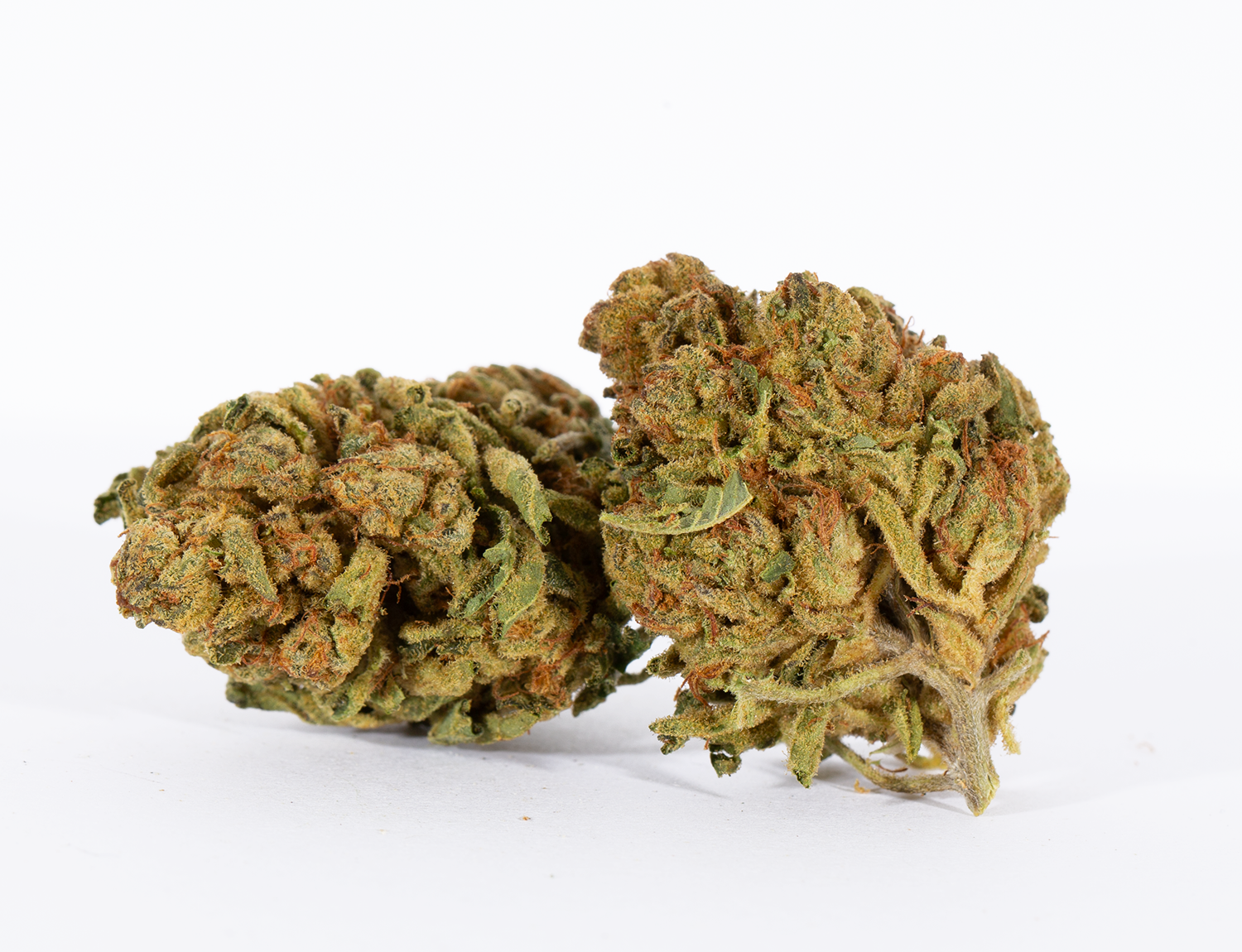 Hash Plant (AA+) - GCO