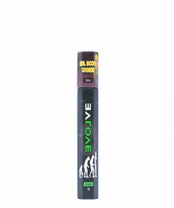 Evolve - Disposable Vape Pen (2g)