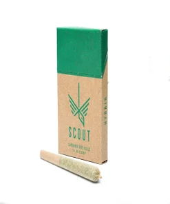 Scout - Pre-Rolls (5 x 0.5g Pack)