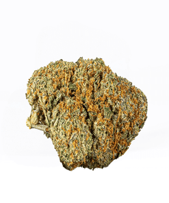 Astral Herbs – Chocoloco