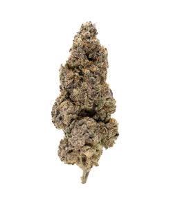 Fun Buds - Vice City